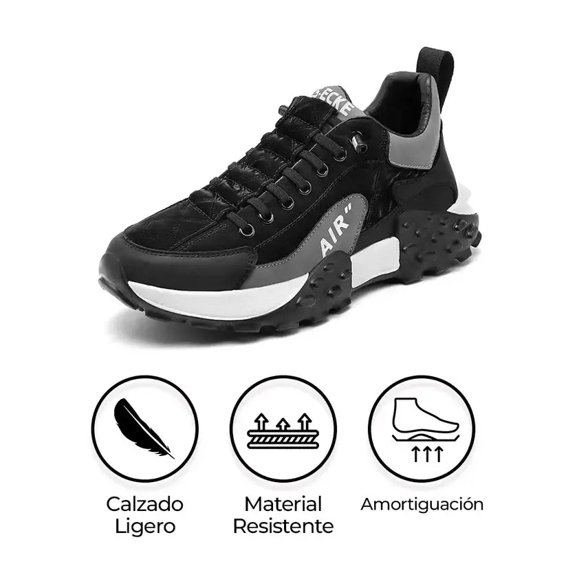 Flex Air  2025