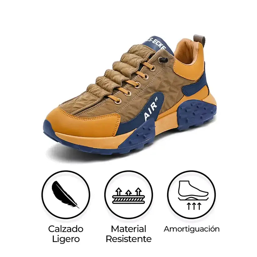 Flex Air  2025