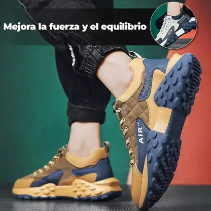 Flex Air  2025